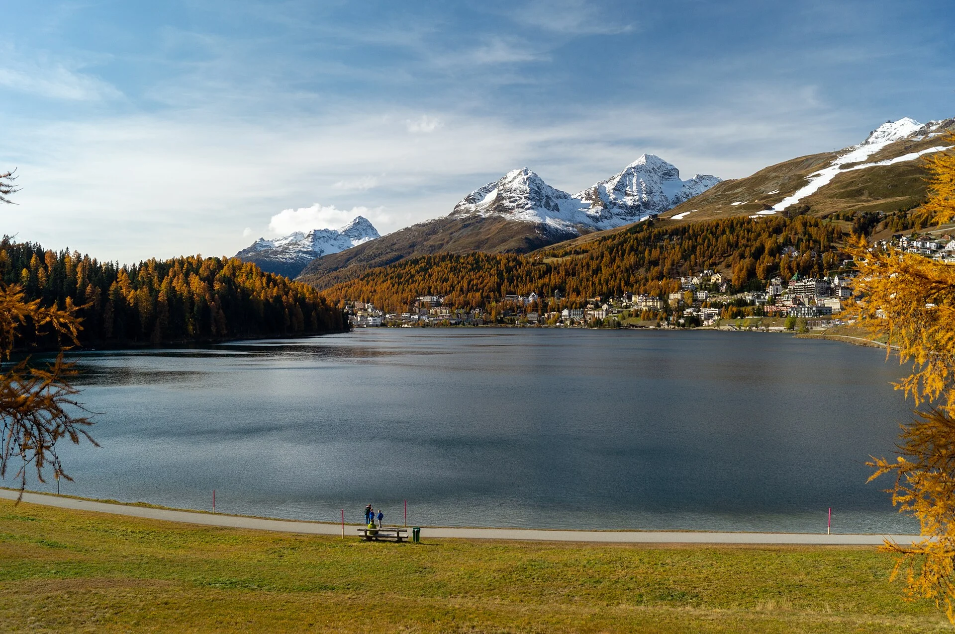 Golden larches beside Lake St. Moritz, with snow on the mountains beyond.
